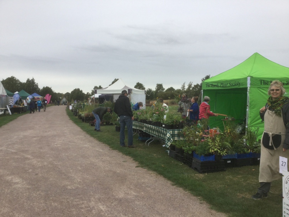 Plant Fairs Shrubland Nurseries Suffolk from Shrubland Nurseries Suffolk